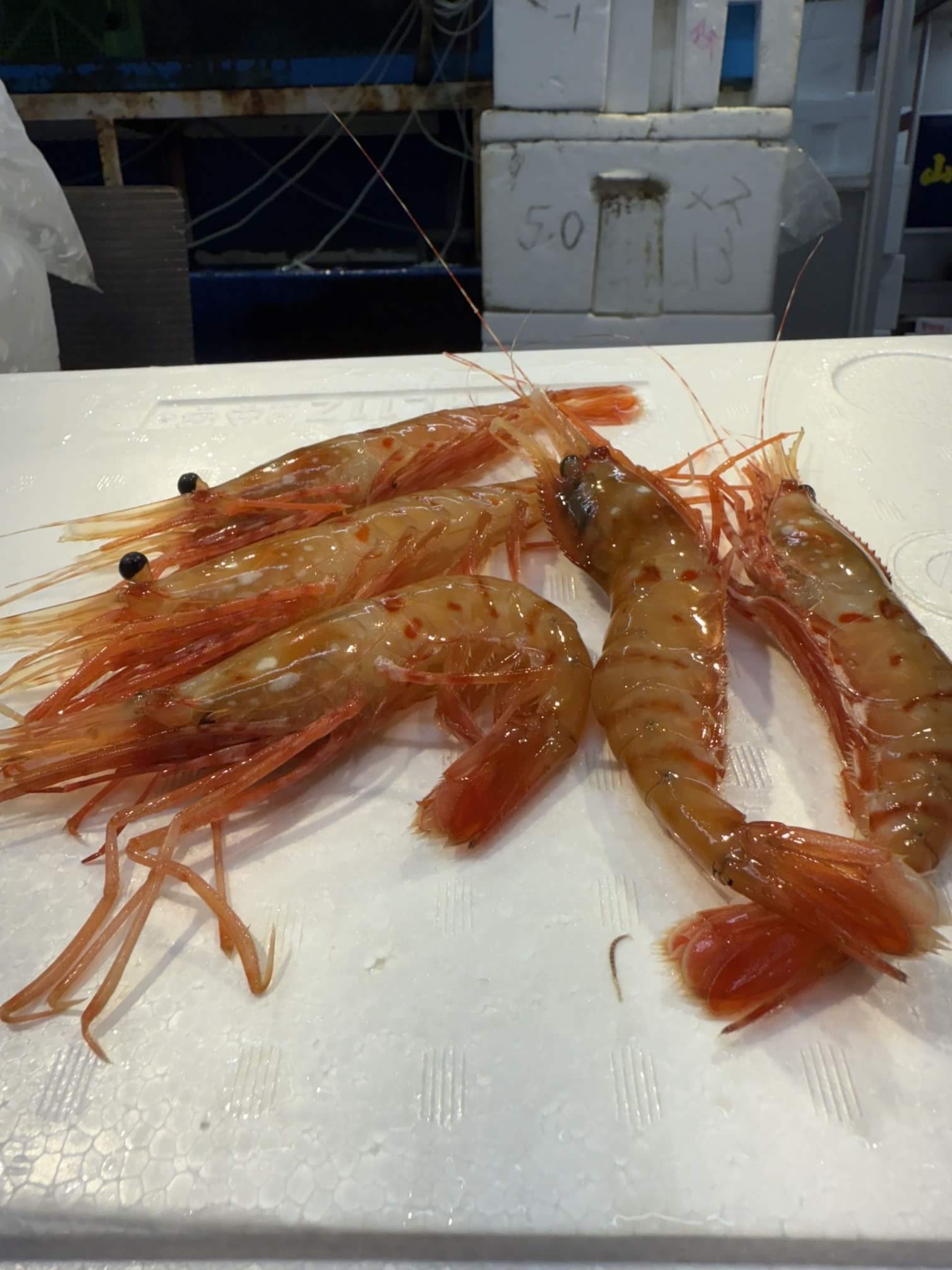 厳選された海老